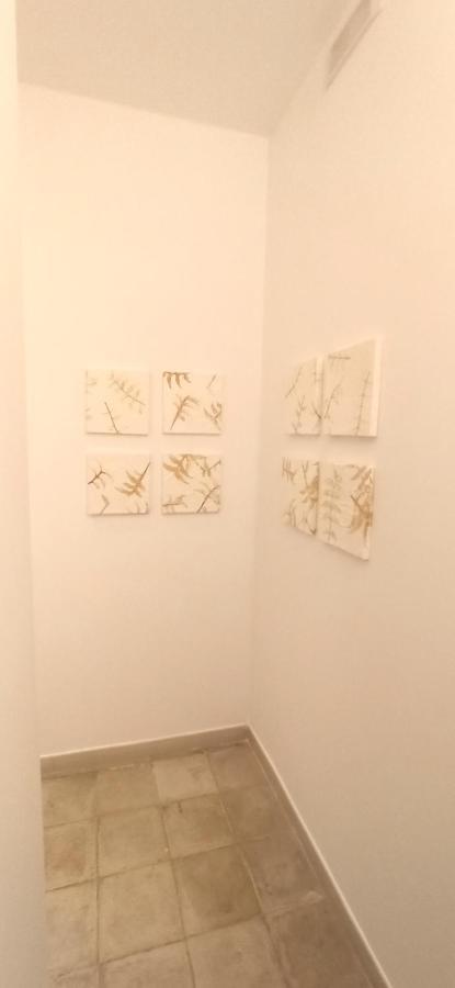 Casa Nella Pietra Viva Apartment Bari Bagian luar foto